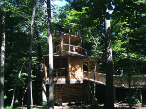 Conner-Praire-Treehouse-Exhibit 0000 CPj